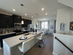 MODEL HOME PHOTOS 