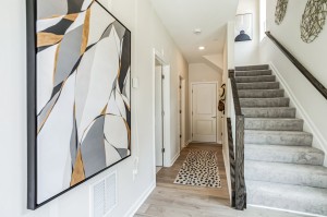 MODEL HOME PHOTOS 