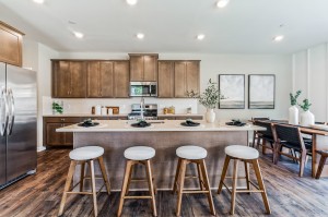 FOR ILLUSTRATION PURPOSES ONLY.. PHOTO IS A REPRESENTAION OF HOME BEING SOLD. 