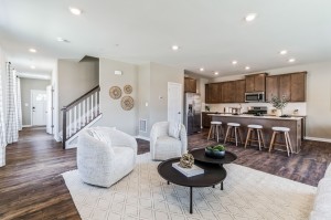 MODEL HOME PHOTOS 